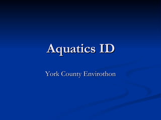 Aquatics ID York County Envirothon 