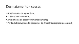 Desmatamento - causas
• Ampliar áreas de agricultura;
• Exploração da madeira;
• Ampliar área de desenvolvimento humano;
• Perda da biodiversidade; serpentes da Amazônia Jararaca (pesquisar);
 