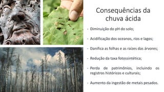 Consequências da
chuva ácida
- Diminuição do pH do solo;
- Acidificação dos oceanos, rios e lagos;
- Danifica as folhas e as raízes das árvores;
- Redução da taxa fotossintética;
- Perda de patrimônios, incluindo os
registros históricos e culturais;
- Aumento da ingestão de metais pesados.
 