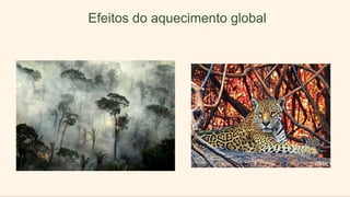 Efeitos do aquecimento global
 