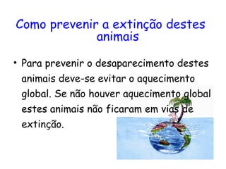 Como prevenir a extinção destes  animais   Para prevenir o desaparecimento destes animais deve-se evitar o aquecimento global. Se não houver aquecimento global estes animais não ficaram em vias de extinção. 