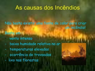 As causas dos Incêndios Não basta existir uma fonte de calor para criar  um incêndio! Basta um : vento intenso -  baixa humidade relativa no ar -  temperaturas elevadas -  ocorrência de trovoadas  -  lixo nas florestas 