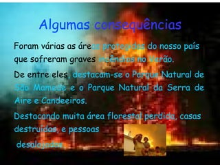 Algumas  consequências Foram várias as   áre as protegidas do nosso país  que sofreram graves  incêndios no Verão. De entre   eles , destacam-se o Parque Natural de São Mamede e o Parque Natural da Serra de Aire e Candeeiros. Destacando muita área florestal perdida, casas destruídas, e pessoas  desalojadas. 