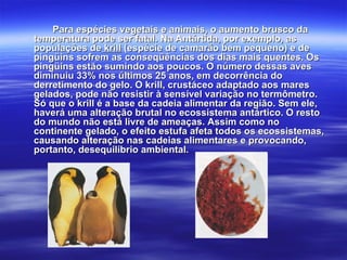 Para espécies vegetais e animais, o aumento brusco da temperatura pode ser fatal. Na Antártida, por exemplo, as populações de  krill  (espécie de camarão bem pequeno) e de pingüins sofrem as conseqüências dos dias mais quentes. Os pingüins estão sumindo aos poucos. O número dessas aves diminuiu 33% nos últimos 25 anos, em decorrência do derretimento do gelo. O krill, crustáceo adaptado aos mares gelados, pode não resistir à sensível variação no termômetro. Só que o krill é a base da cadeia alimentar da região. Sem ele, haverá uma alteração brutal no ecossistema antártico. O resto do mundo não está livre de ameaças. Assim como no continente gelado, o efeito estufa afeta todos os ecossistemas, causando alteração nas cadeias alimentares e provocando, portanto, desequilíbrio ambiental. 