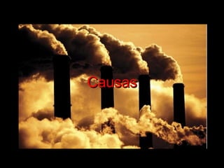 Causas 