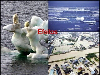 Efeitos 