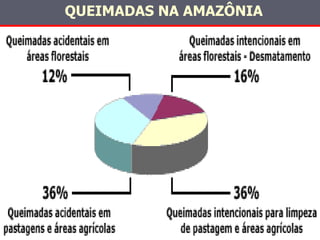QUEIMADAS NA AMAZÔNIA 