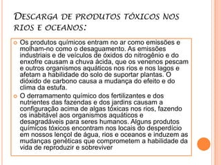 Reprodução e difusão de pragas e doenças, quando o material ardido não é tratadoFotos dos Incêndios : 