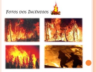 Destruição de bens (casas, armazéns, postes de eletricidade e comunicações etc.)