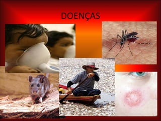 DOENÇAS 
