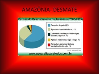 AMAZÔNIA- DESMATE 