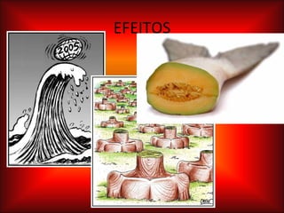 EFEITOS 