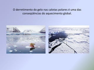 O derretimento do gelo nas calotas polares é uma das conseqüências do aquecimento global.