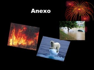 Anexo 