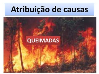 Atribuição de causas
QUEIMADAS
 
