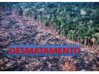 DESMATAMENTO
 