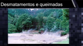 Desmatamentos e queimadas
 