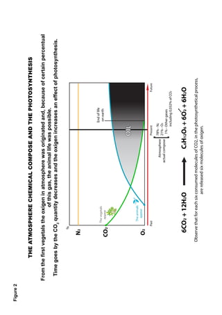 Figure 2
    FIGURA 1            THE ATMOSPHERE CHEMICAL COMPOSE AND THE PHOTOSYNTHESIS
                    THE ATMOSPHERE CHEMICAL COMPOSE AND THE PHOTOSYNTHESIS

           From the first vegetals the oxigen in atmosphere was originated and, because of certain percentual
                                         of this gas, the animal life was possible.
             Time goes by the CO2 quantity decreases and the oxigen increases an effect of photosynthesis.

                                %

                             N2


                                                                                               End of life
                                      The vegetals
                                                                                                on earth
                                        appear
                            CO2


                                                                                     OIL
                                       The animals
                                         appear
                             O2
                                    Past                                             Present                  Future

                                                                                  78% - N2
                                                                      Atmosphere
                                                                                  21% - O2
                                                                   actual compose
                                                                                 [ 1% - Other gases
                                                                                        including 0,032% of CO2



                              6CO2 + 12H2O                                 C6H12O6 + 6O2 + 6H2O
                          Observe that for each six consumed molecules of CO2, in the photosynthetical process,
                                                    are released six molecules of oxigen.
 