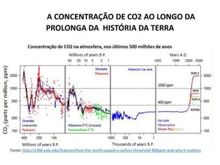 A CONCENTRAÇÃO DE CO2 AO LONGO DA
PROLONGA DA HISTÓRIA DA TERRA
 