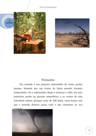 Área de Integração




  10
2009 /20




                                   Tornados
               Um tornado é um pequeno redemoinho de vento, porém
           intenso, formado por um centro de baixa pressão durante
           tempestades. Se o redemoinho chega a alcançar o chão, há uma
           repentina queda na pressão atmosférica e os ventos de alta
           velocidade podem alcançar mais de 500 km/h, estes fazem com
           que o tornado destrua quase tudo o que encontrar no seu
           caminho.




                                                                          15
 
