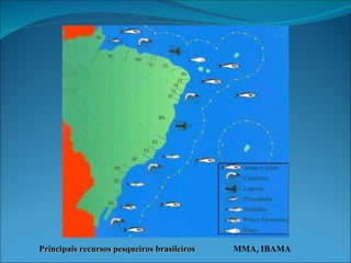 MMA, IBAMA Principais recursos pesqueiros brasileiros 