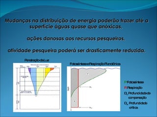 Mudanças na distribuição de energia poderão trazer até a superfície águas quase que anóxicas,  ações danosas aos recursos pesqueiros,  atividade pesqueira poderá ser drasticamente reduzida. P  Fotossíntese R  Respiração D c  Profundidade de   compensação D cr  Profundidade   crítica Penetração da Luz Fotossíntese e Respiração Planctônica 