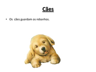 Cães
• Os cães guardam os rebanhos.
 
