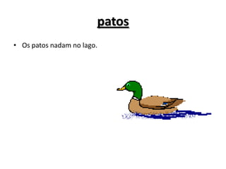 patos
• Os patos nadam no lago.
 