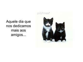 Aquele dia que nos dedicamos mais aos amigos... 