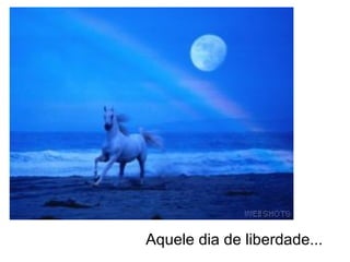 Aquele dia de liberdade... 