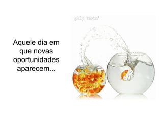 Aquele dia em que novas oportunidades aparecem... 