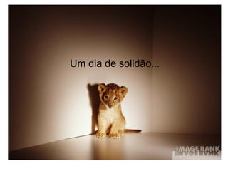 Um dia de solidão... 
