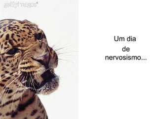 Um dia  de nervosismo... 