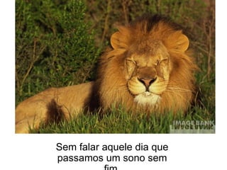 Sem falar aquele dia que passamos um sono sem fim. 