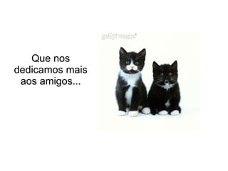 Que nos dedicamos mais aos amigos... 