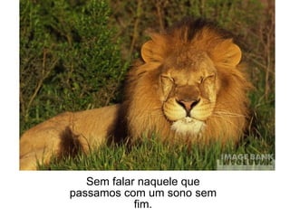 Sem falar naquele que passamos com um sono sem fim. 