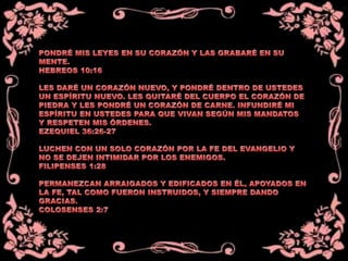 Aquel poeta que buscaba a dios