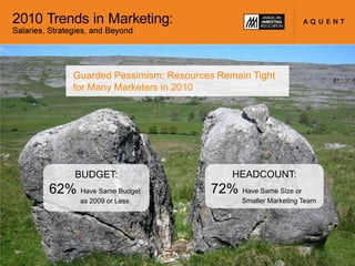 17% work within agencies