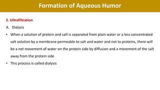 Formation of Aqueous Humor
2. Ultrafiltration
A. Dialysis
• When a solution of protein and salt is separated from plain water or a less concentrated
salt solution by a membrane permeable to salt and water and not to proteins, there will
be a net movement of water on the protein side by diffusion and a movement of the salt
away from the protein side
• This process is called dialysis
 