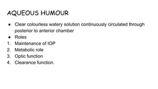 Comprehensive Overview of Aqueous Humour Dynamics in Ophthalmology | PDF