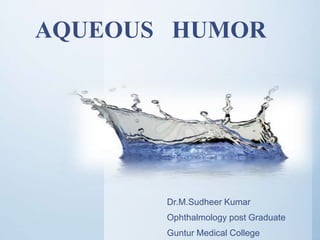 AQUEOUS HUMOR
Dr.M.Sudheer Kumar
Ophthalmology post Graduate
Guntur Medical College
 