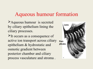 anatomy of aqueous humor-Dr.Mahabub.pptx