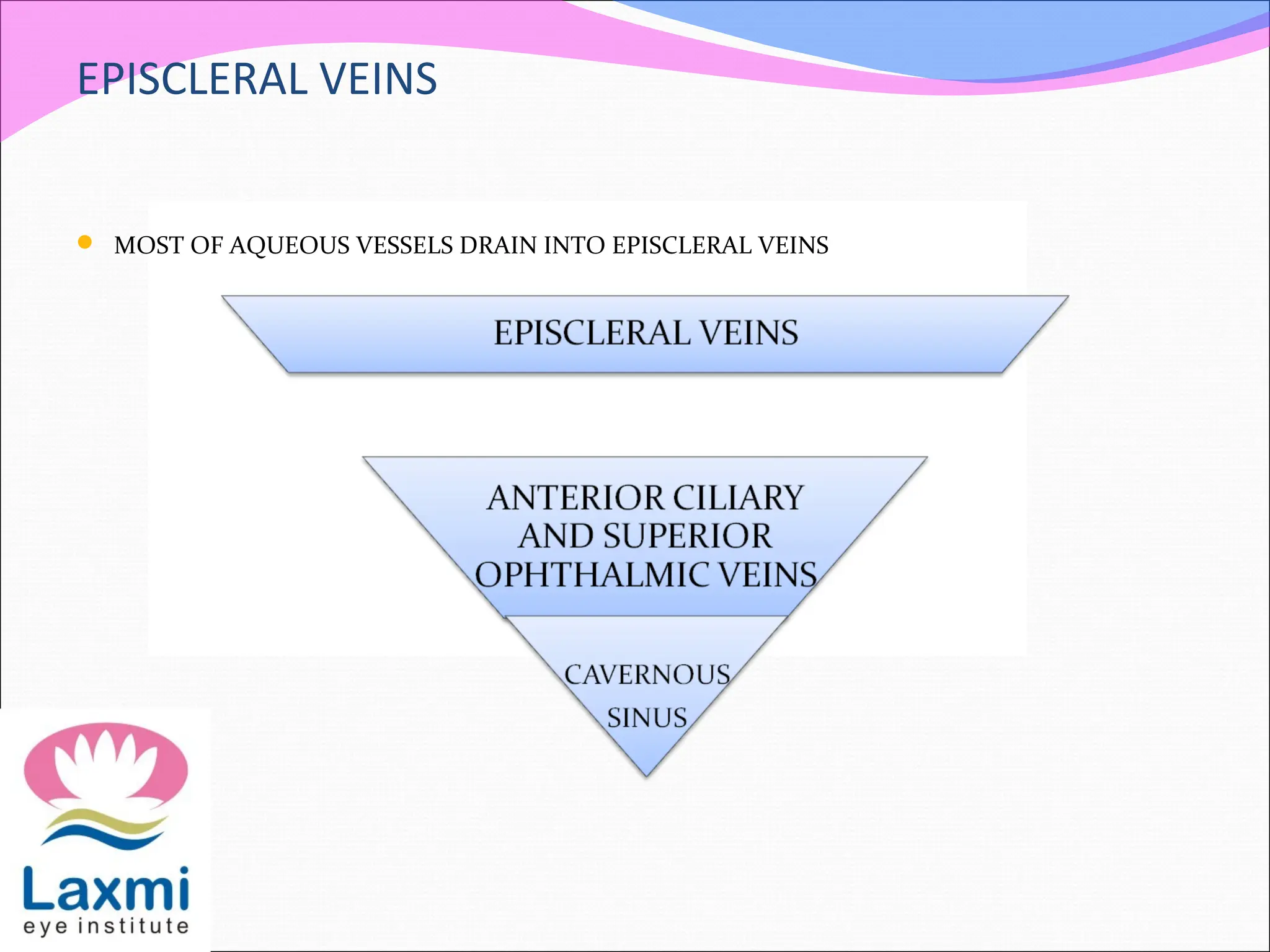 EPISCLERAL VEINS
 MOST OF AQUEOUS VESSELS DRAIN INTO EPISCLERAL VEINS
 