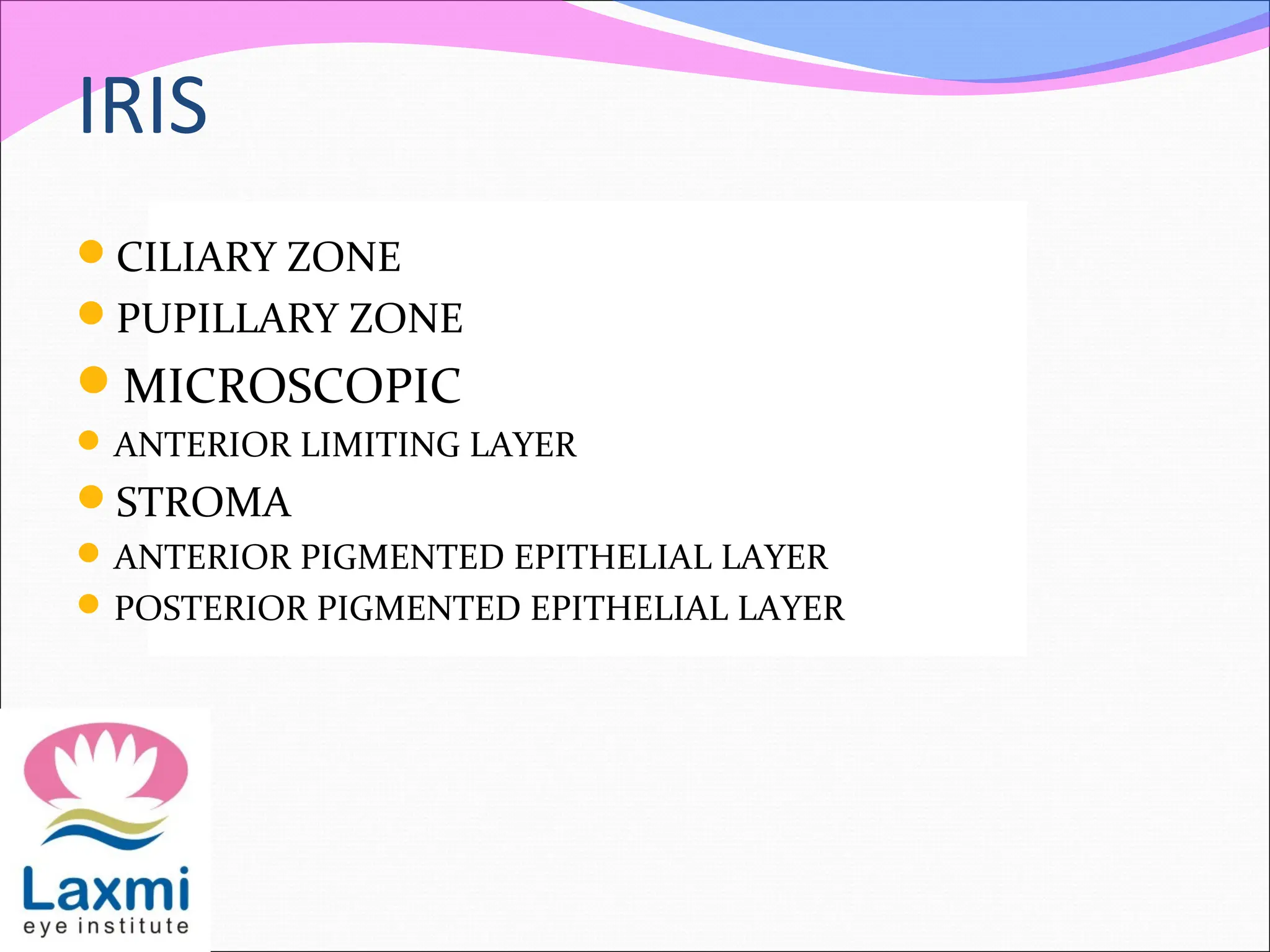 IRIS
CILIARY ZONE
PUPILLARY ZONE
MICROSCOPIC
ANTERIOR LIMITING LAYER
STROMA
ANTERIOR PIGMENTED EPITHELIAL LAYER
POSTERIOR PIGMENTED EPITHELIAL LAYER
 