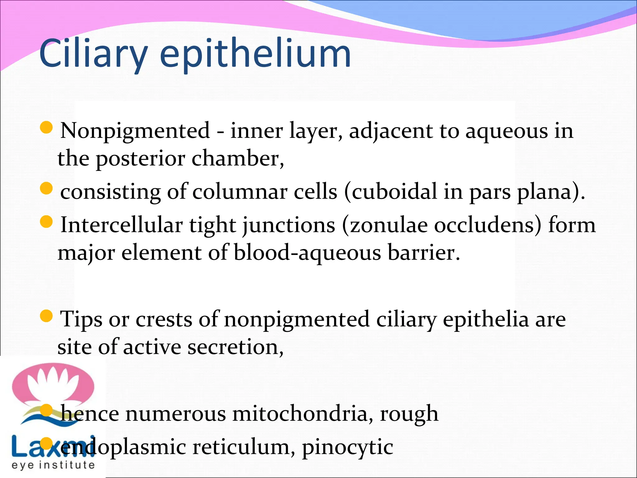 Ciliary epithelium
Nonpigmented - inner layer, adjacent to aqueous in
the posterior chamber,
consisting of columnar cells (cuboidal in pars plana).
Intercellular tight junctions (zonulae occludens) form
major element of blood-aqueous barrier.
Tips or crests of nonpigmented ciliary epithelia are
site of active secretion,
hence numerous mitochondria, rough
endoplasmic reticulum, pinocytic
 
