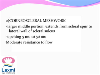 2)CORNEOSCLERAL MESHWORK
-larger middle portion ,extends from scleral spur to
lateral wall of scleral sulcus
-opening 5 mu to 50 mu
Moderate resistance to flow
 