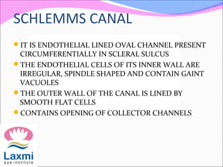 SCHLEMMS CANAL
IT IS ENDOTHELIAL LINED OVAL CHANNEL PRESENT
CIRCUMFERENTIALLY IN SCLERAL SULCUS
THE ENDOTHELIAL CELLS OF ITS INNER WALL ARE
IRREGULAR, SPINDLE SHAPED AND CONTAIN GAINT
VACUOLES
THE OUTER WALL OF THE CANAL IS LINED BY
SMOOTH FLAT CELLS
CONTAINS OPENING OF COLLECTOR CHANNELS
 