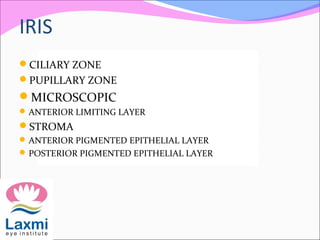 IRIS
CILIARY ZONE
PUPILLARY ZONE
MICROSCOPIC
ANTERIOR LIMITING LAYER
STROMA
ANTERIOR PIGMENTED EPITHELIAL LAYER
POSTERIOR PIGMENTED EPITHELIAL LAYER
 