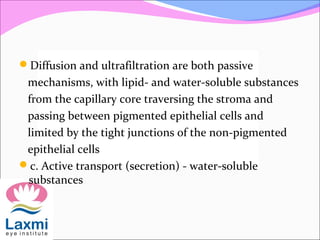 Diffusion and ultrafiltration are both passive
mechanisms, with lipid- and water-soluble substances
from the capillary core traversing the stroma and
passing between pigmented epithelial cells and
limited by the tight junctions of the non-pigmented
epithelial cells
c. Active transport (secretion) - water-soluble
substances
 