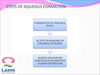 STEPS OF AQUEOUS FORMATION
 